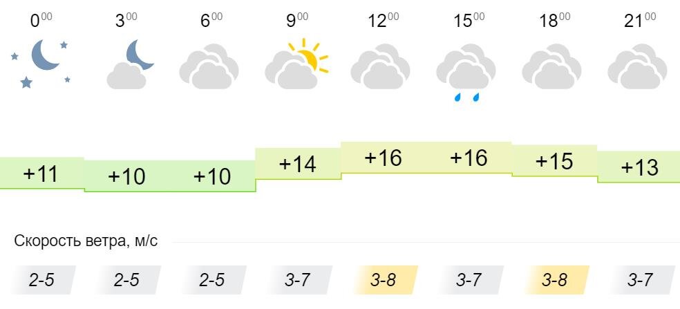 +16° В 3 часа небольшой дождь, +16°.