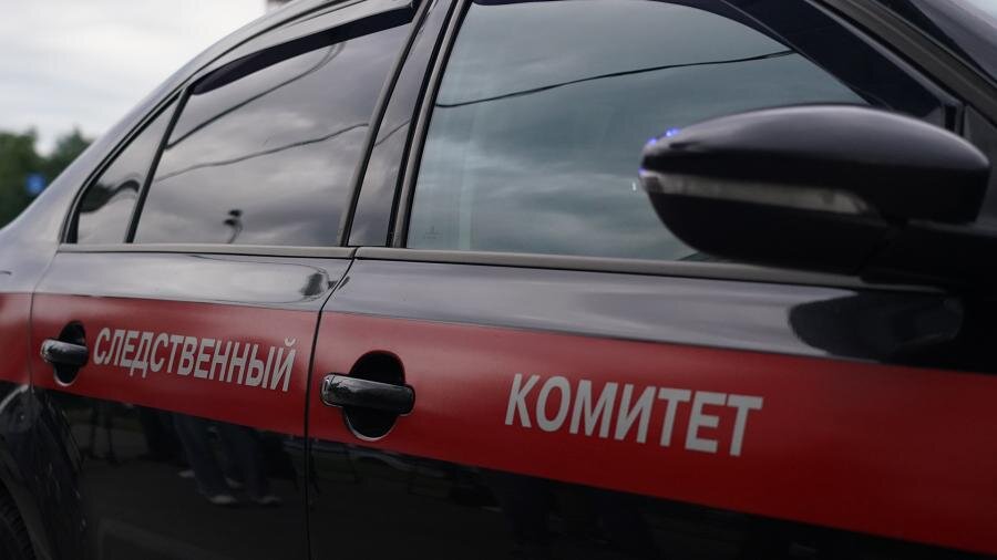Фото: ИЗВЕСТИЯ/Павел Бедняков
