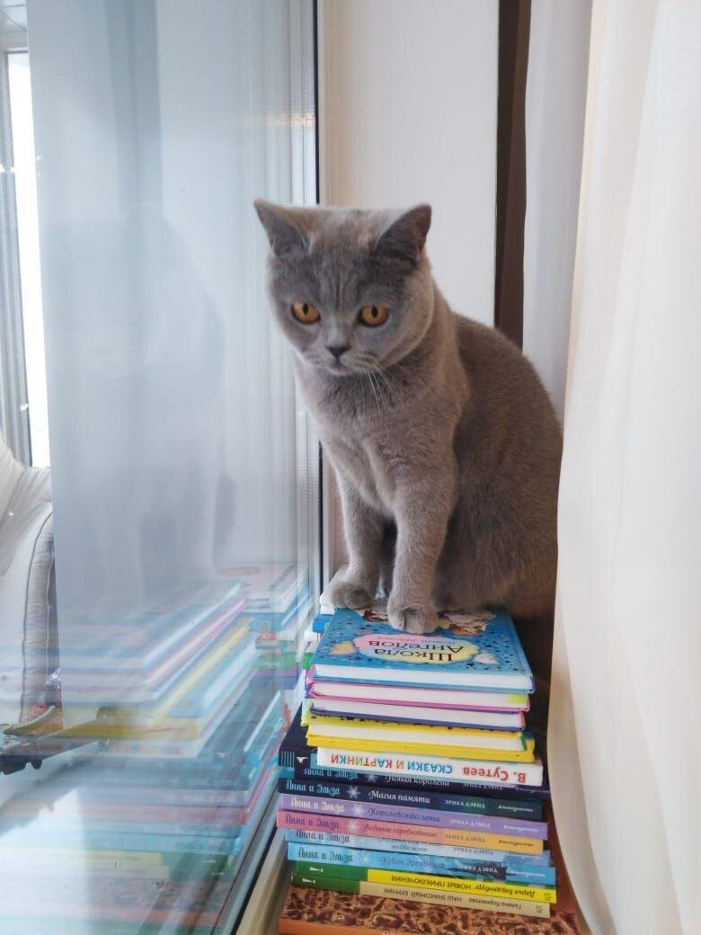 Клянусь, все -все эти книжки прочитала))