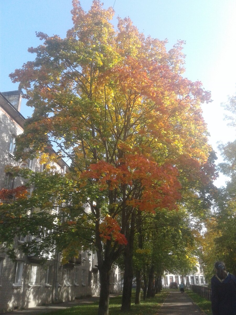 ❤️ Металлострой