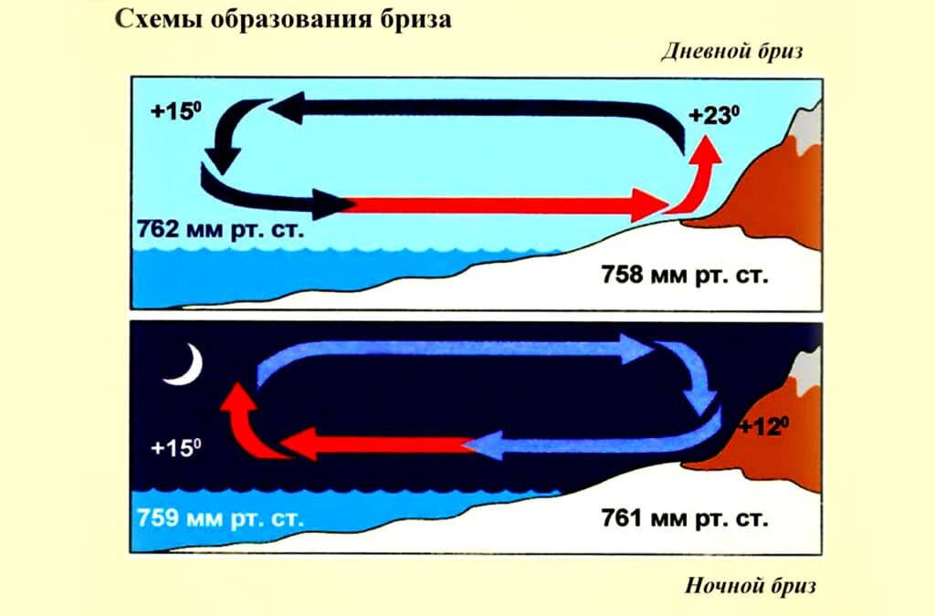 Ветер ССВ – что это значит? | Информация и объяснение