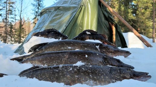 Рыбалка зимой в палатке с ночевкой видео | Информация и советы