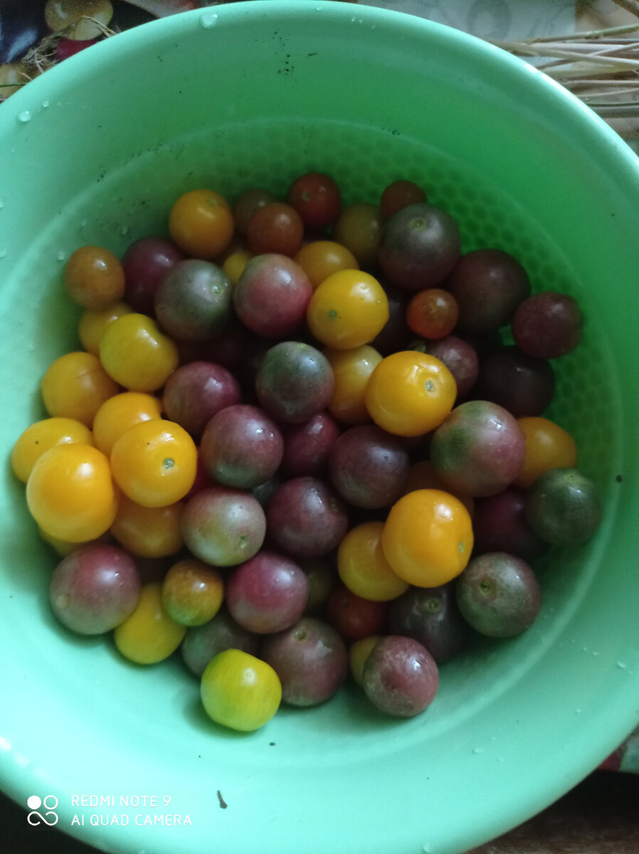 Свежие помидорки