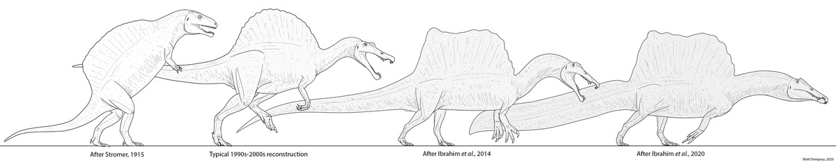 Эти животные похожи на представителей разных видов, а не на реконструкцию одного. 