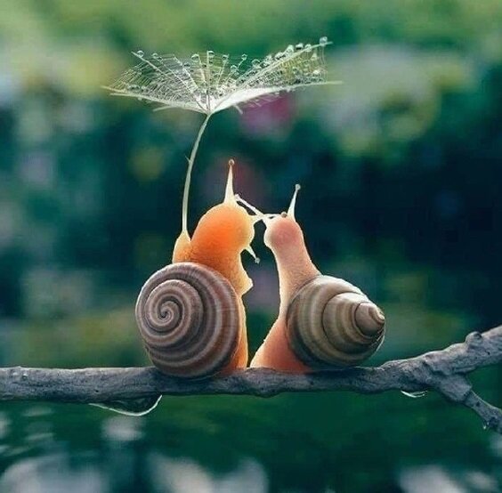 Сам Всевышний занимался их созданием #писарьприштабе