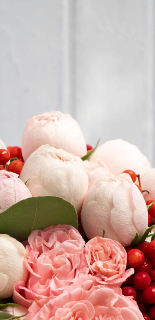 Картинки из интернета