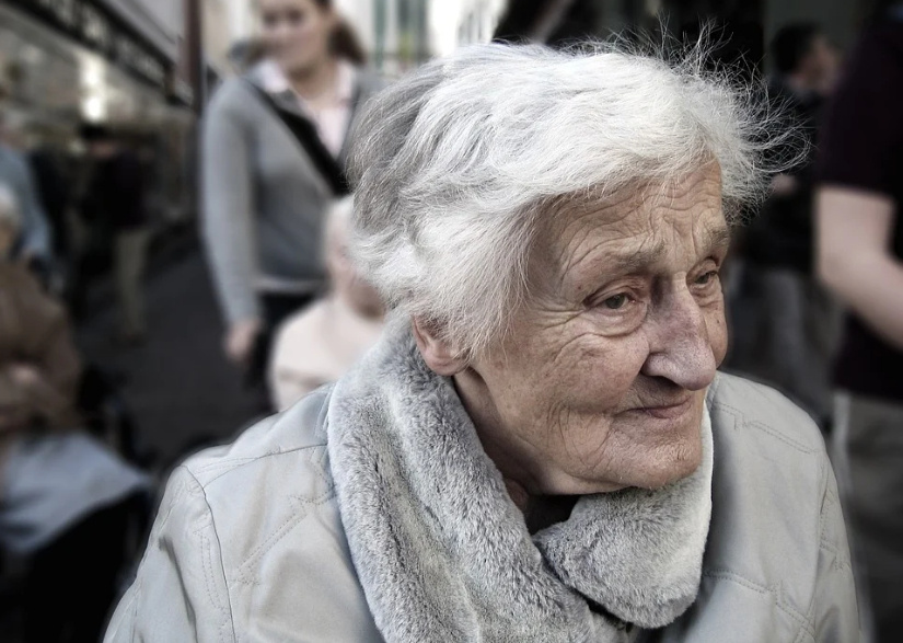 Источник изображения pixabay.com (для использования без ограничений)