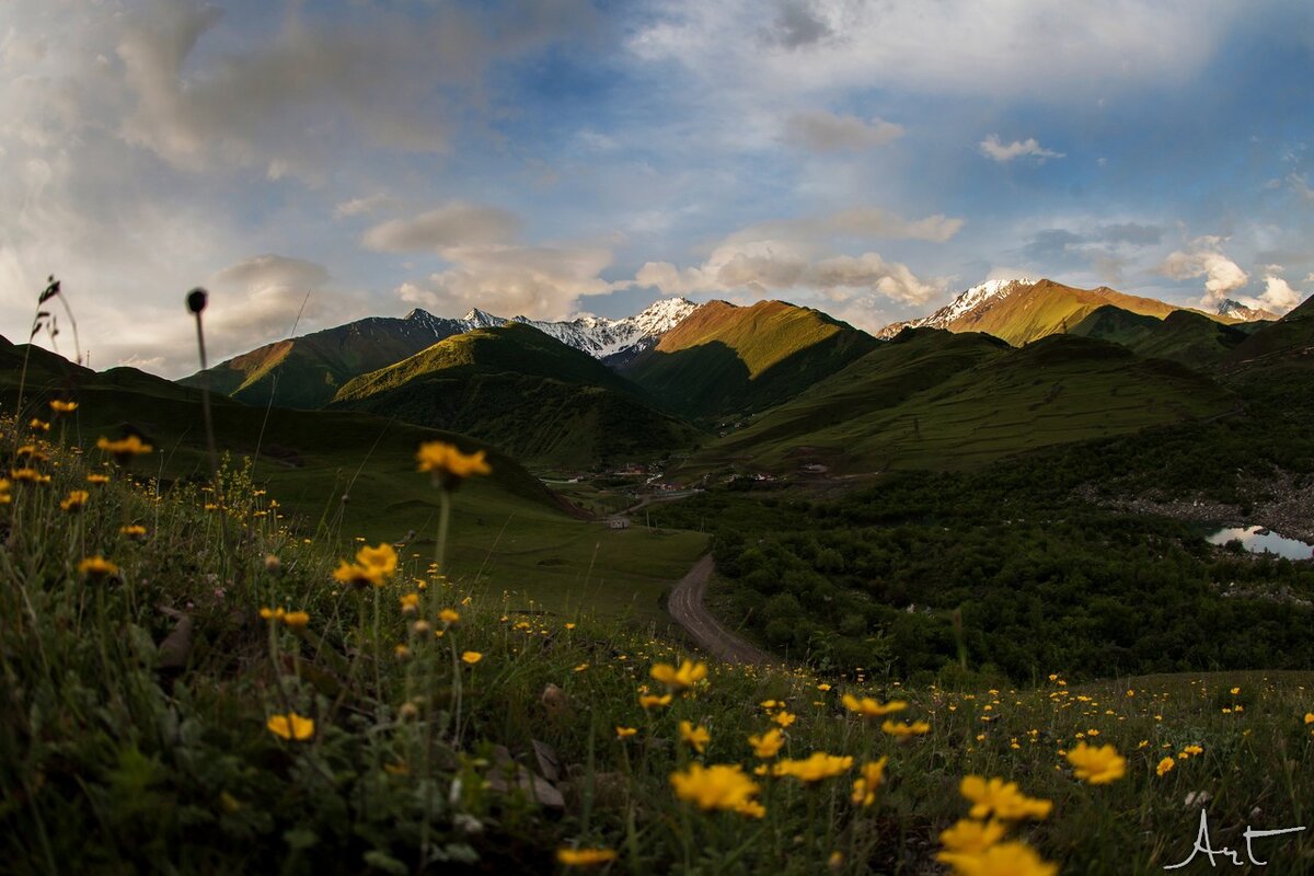 Автор: Артем Никитин 