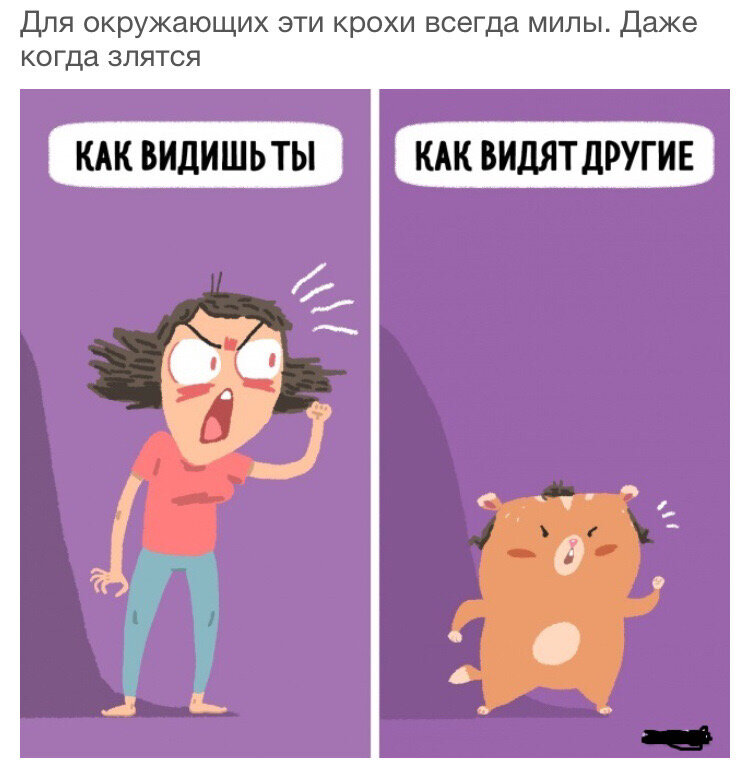 Муж так меня и видит 😂