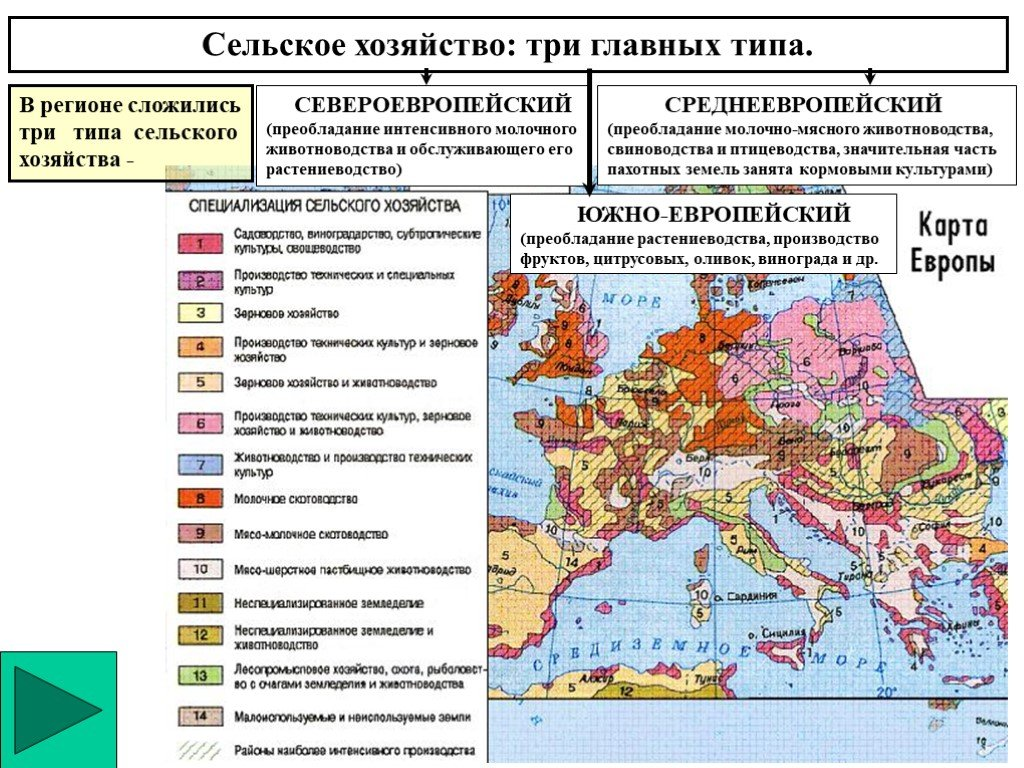 Сельскохозяйственная специализация южной европы. Отрасли специализации сельского хозяйства Европы. Типы сельского хозяйства зарубежной Европы. Сельское хозяйство Европы карта. Ведущие отрасли хозяйства зарубежной Европы.