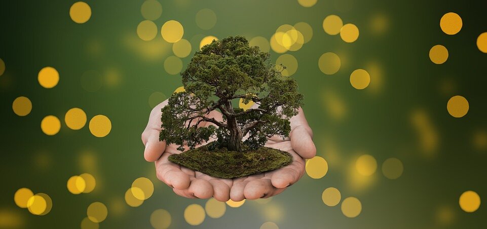 фото взято из открытых источников