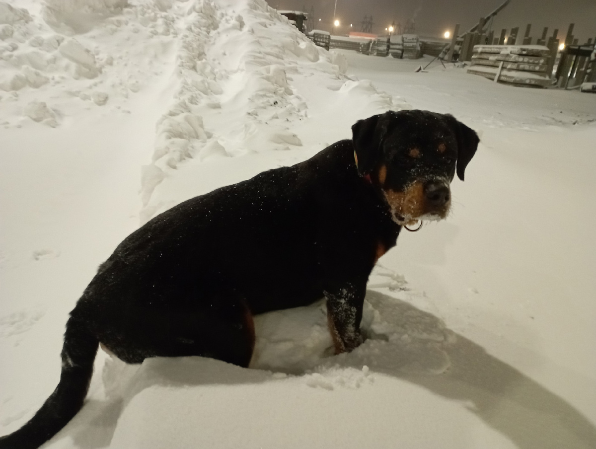 Роттмарш Велар.