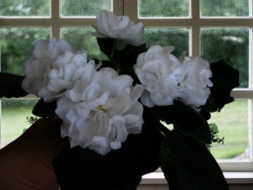 Компактный размер и простота ухода