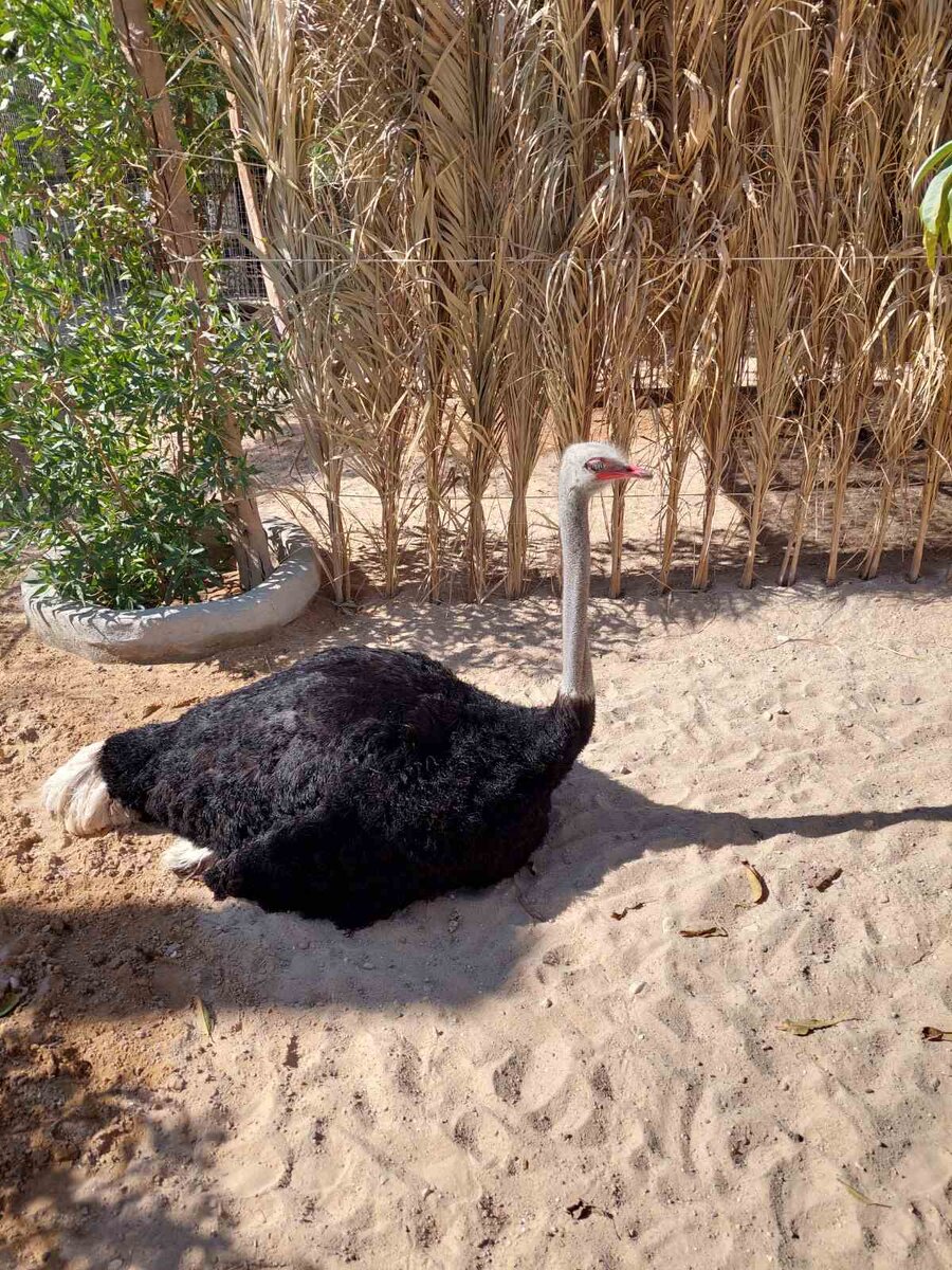 Не делайте вид, что ничего не происходит 