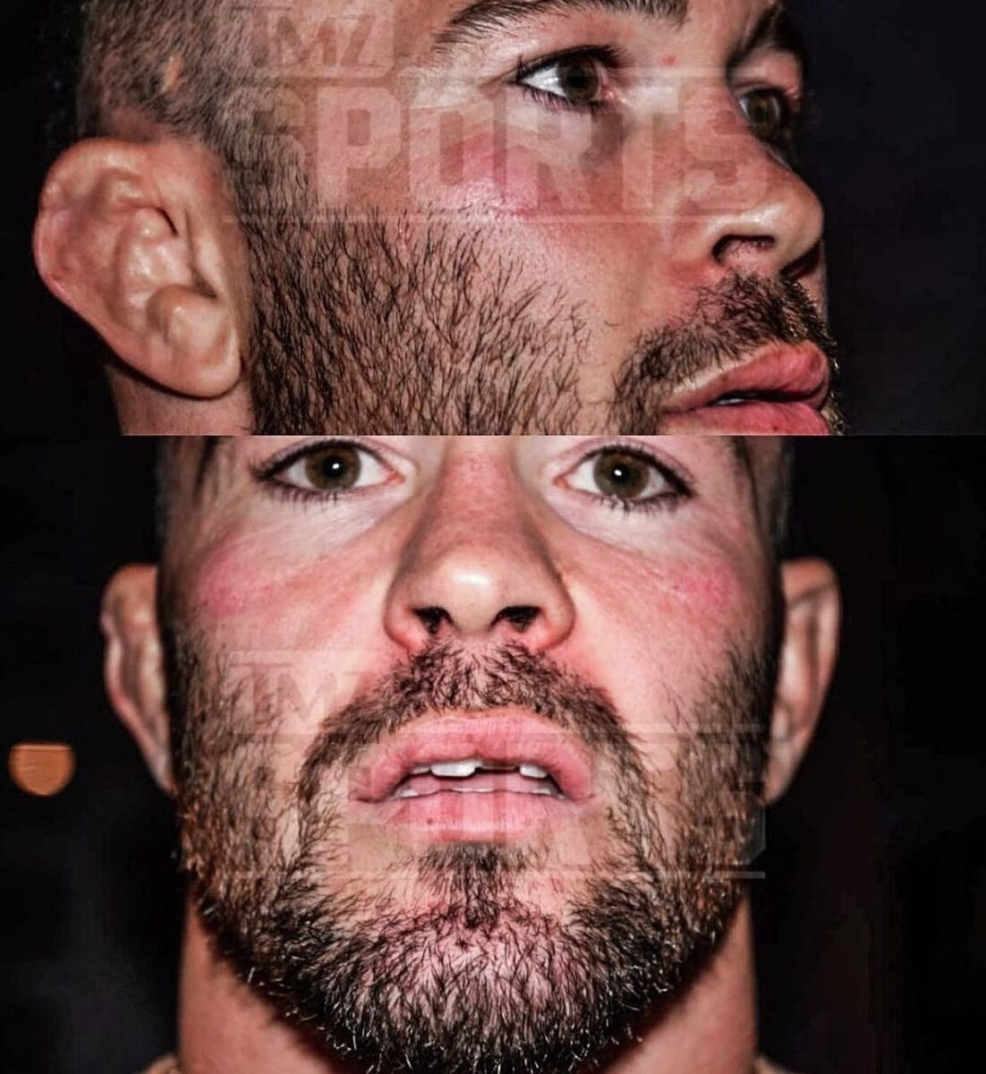 Фото взято из источника vk.com/ufc