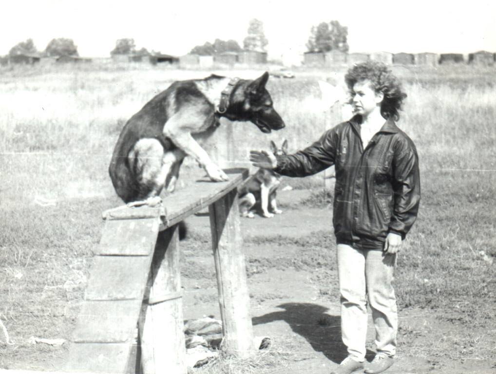 Мы с Римом да дрессировочной площадке. Многозадачная команда - запрыгнуть на бум сбоку и выполнить сразу команду "Сидеть!"