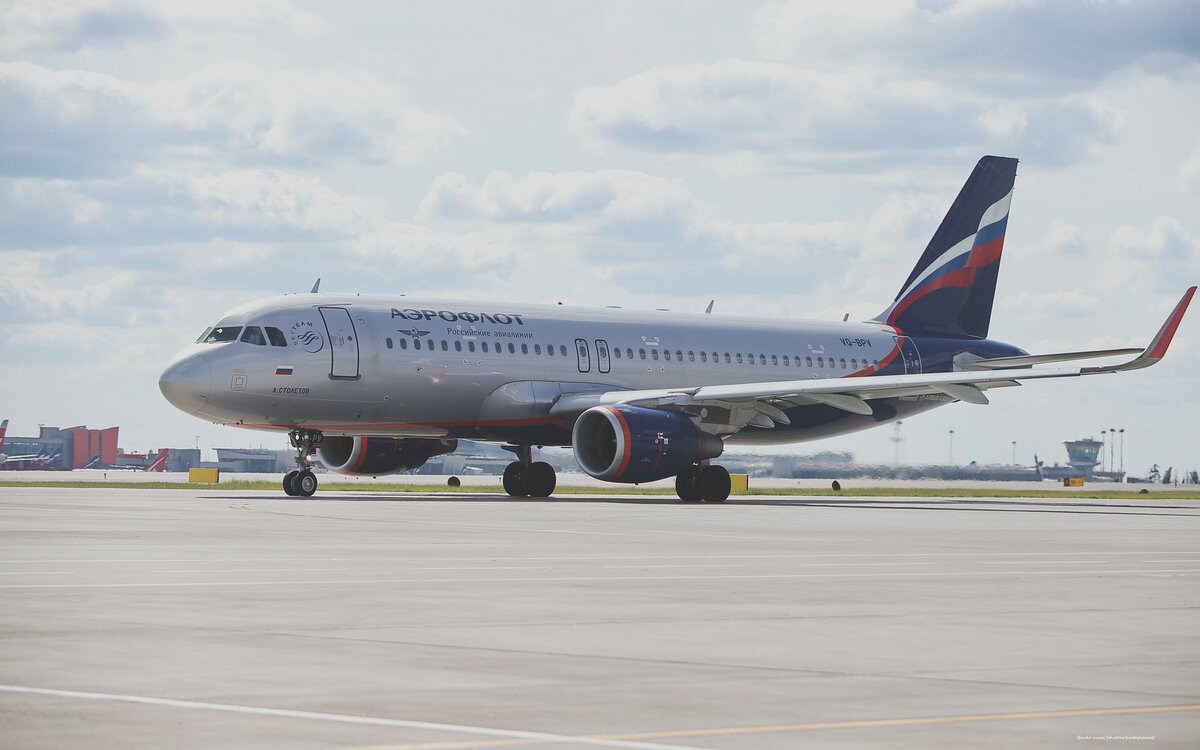 фото взято https://pataparat.livejournal.com/779438.html