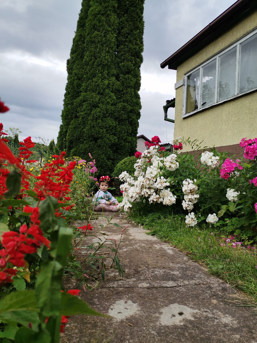 Дети очень любят сюда приезжать