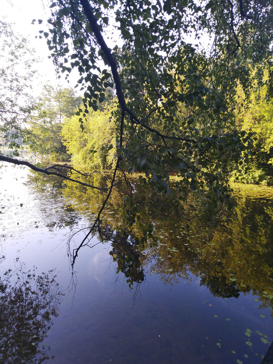 Пламя Серебряного бора