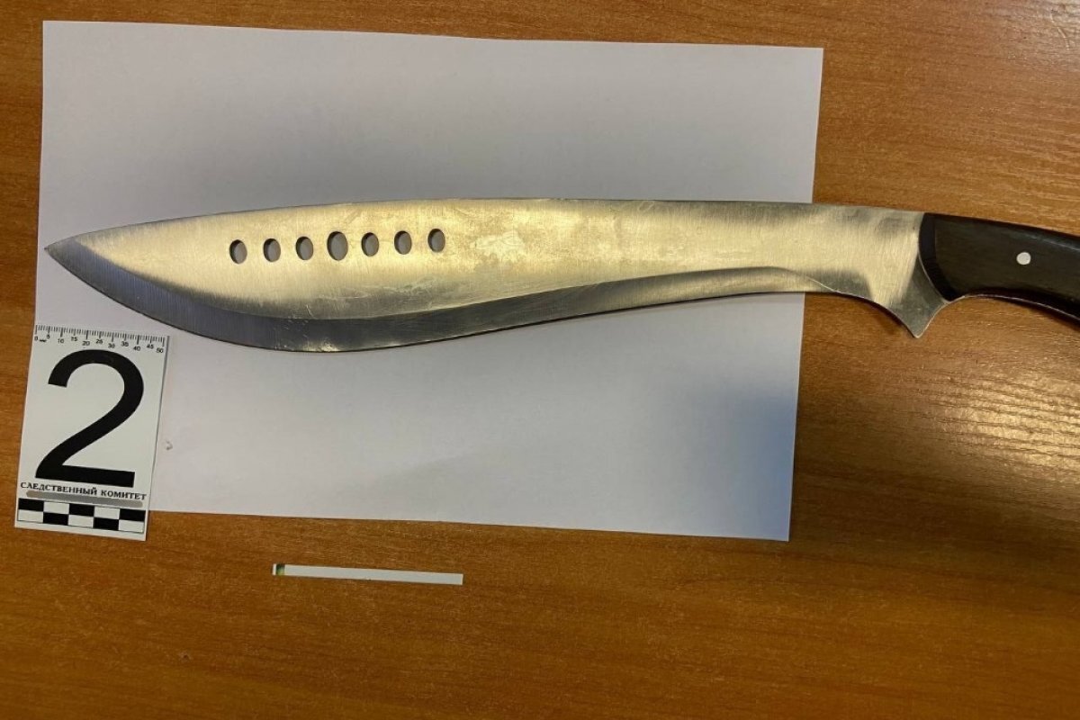    Южноуральцу вынесли приговор за попытку убить соперника мачете