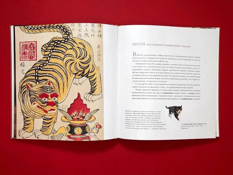 Книга "Кошкин дом в Эрмитаже" издательство "Арка"