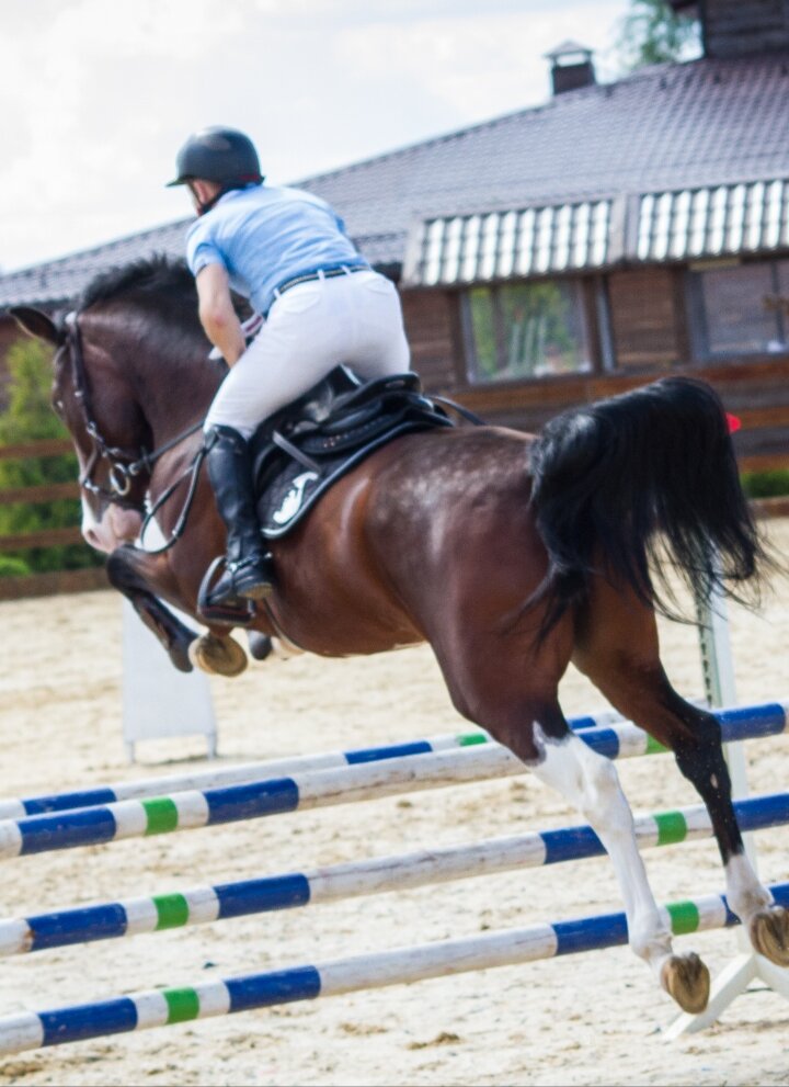 Виталий Солобай. 