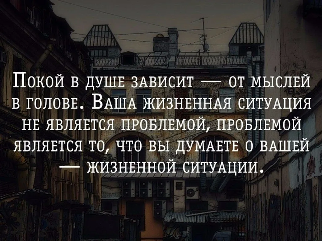 Как навести порядок в своей душе? - 3 главных правила от Бернарда Шоу |  Мудрость жизни | Дзен