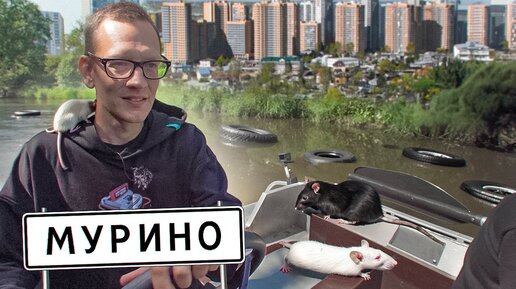 Через мусор и химикаты приплыли в Мурино на лодке