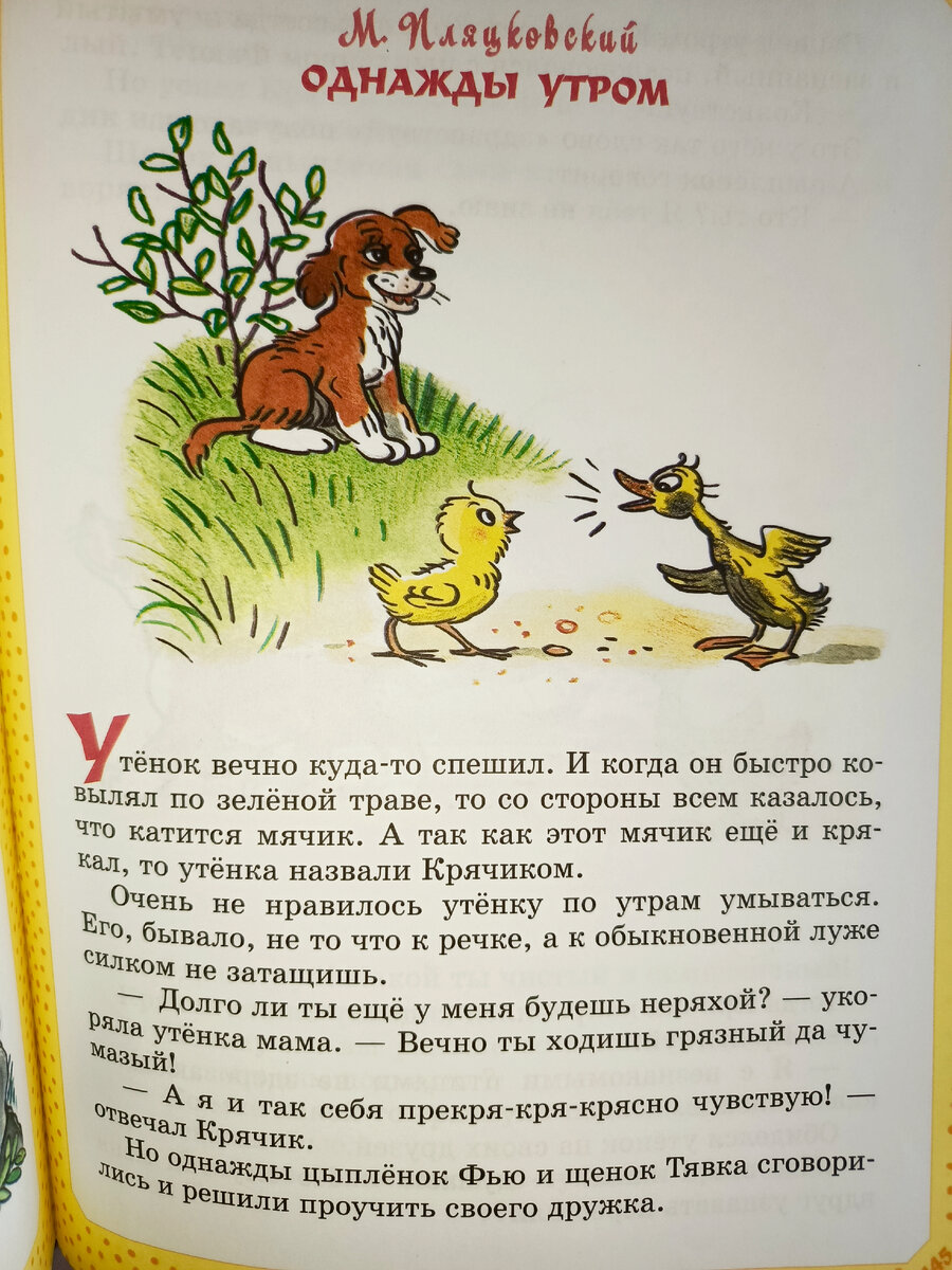 Фото автора 