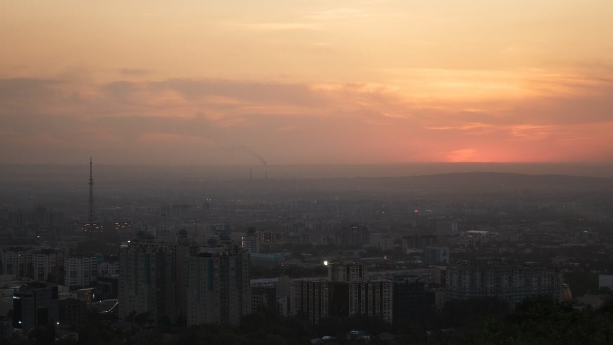    Фото: Unsplash Август Макаров