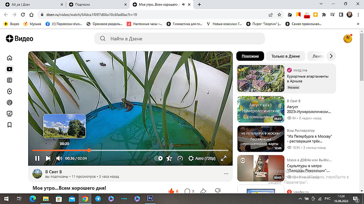 Начало трансляции