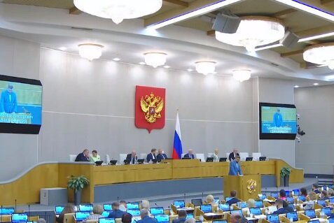 Пленарное заседание ГД РФ. Фото - скриншот трансляции