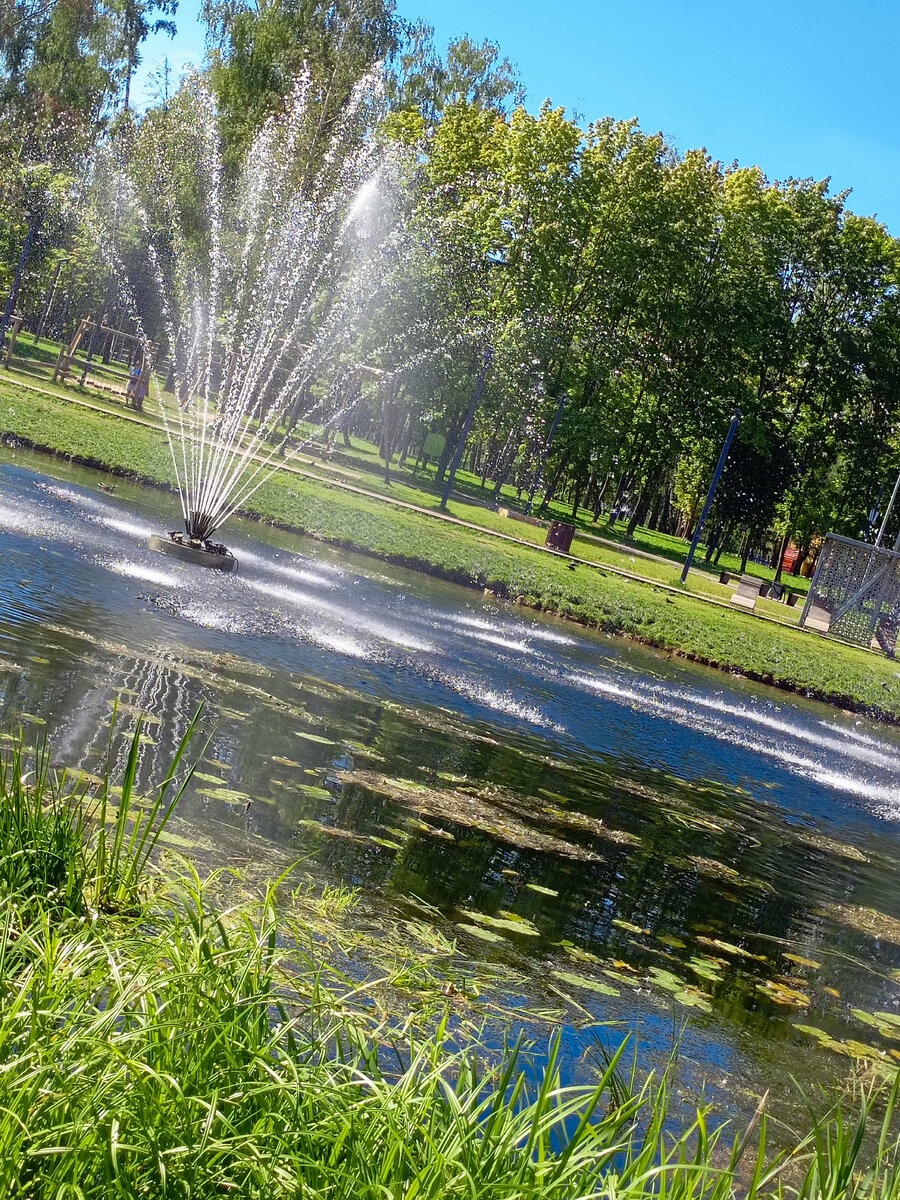 Фото автора