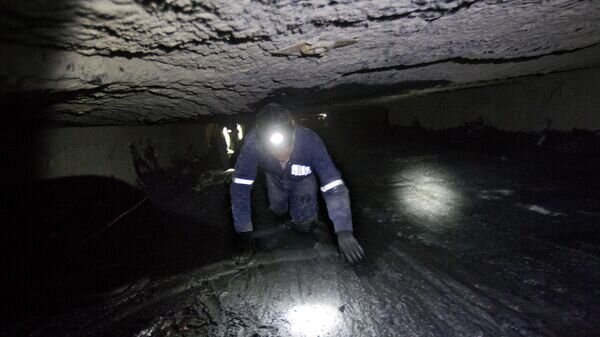    © AP Photo / David Goldman