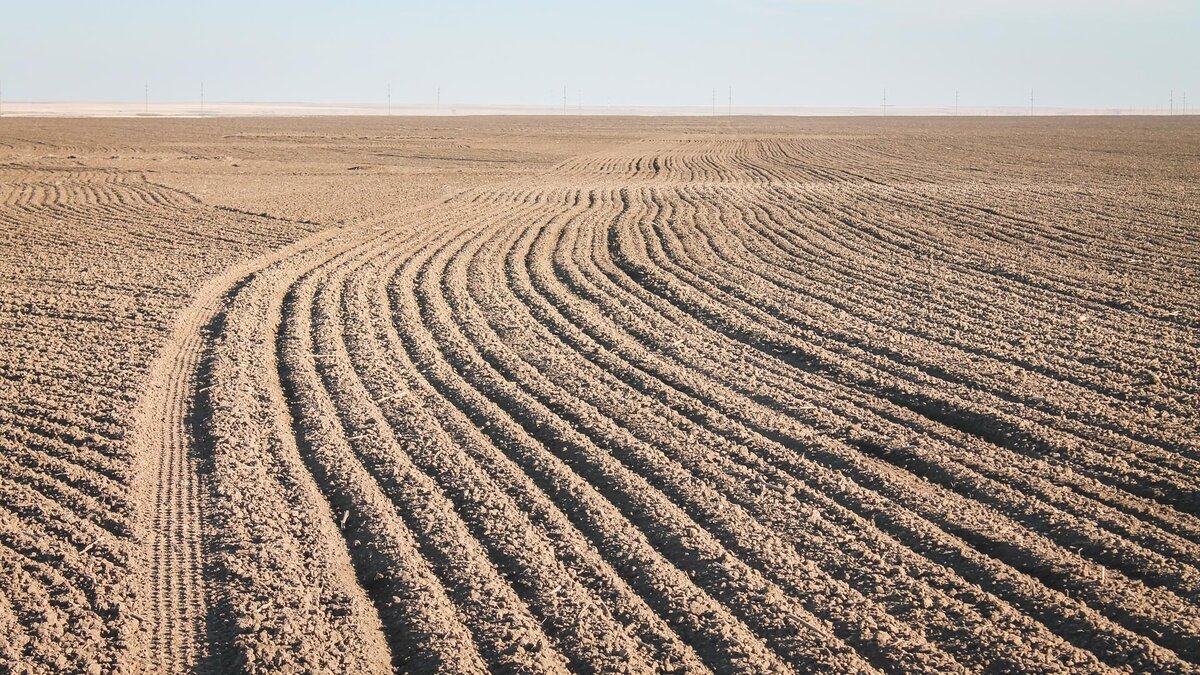     Муниципальные комиссии начали оценивать ущерб на территории сельскохозяйственных угодий, которые пострадали от паводков в Приморье. Всего в Уссурийский ГО выехали 15 комиссий.