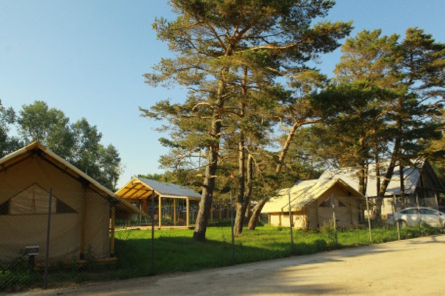 Polyana Glamping Калининград