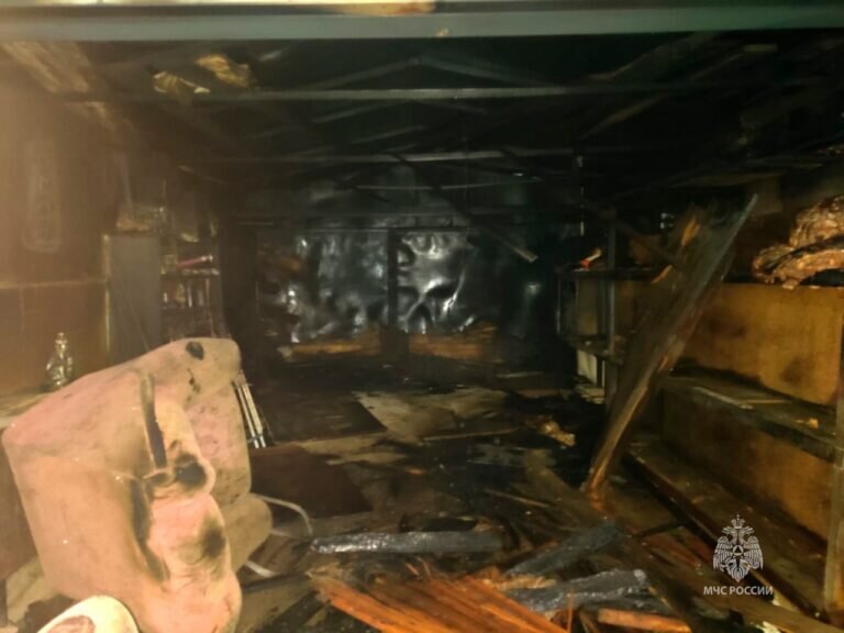    На пожарах в Оренбуржье с начала года погибли 74 человека, в том числе 6 детей Кристина Просвиркина