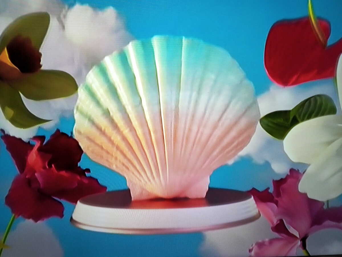 ШОУ "Сердце Клавы"