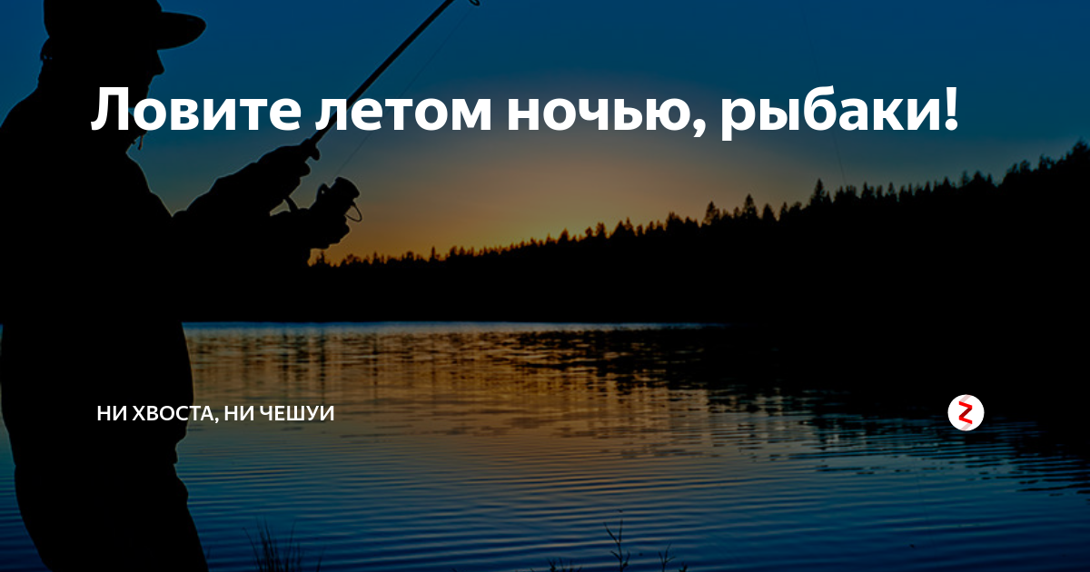 Ночь рыбака. Доброй ночи рыбаки. Спокойной ночи рыбаку. Добрый вечер рыбаки. Ни хвоста ни чешуи.