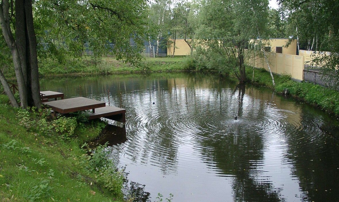 База отдыха осетровый пруд