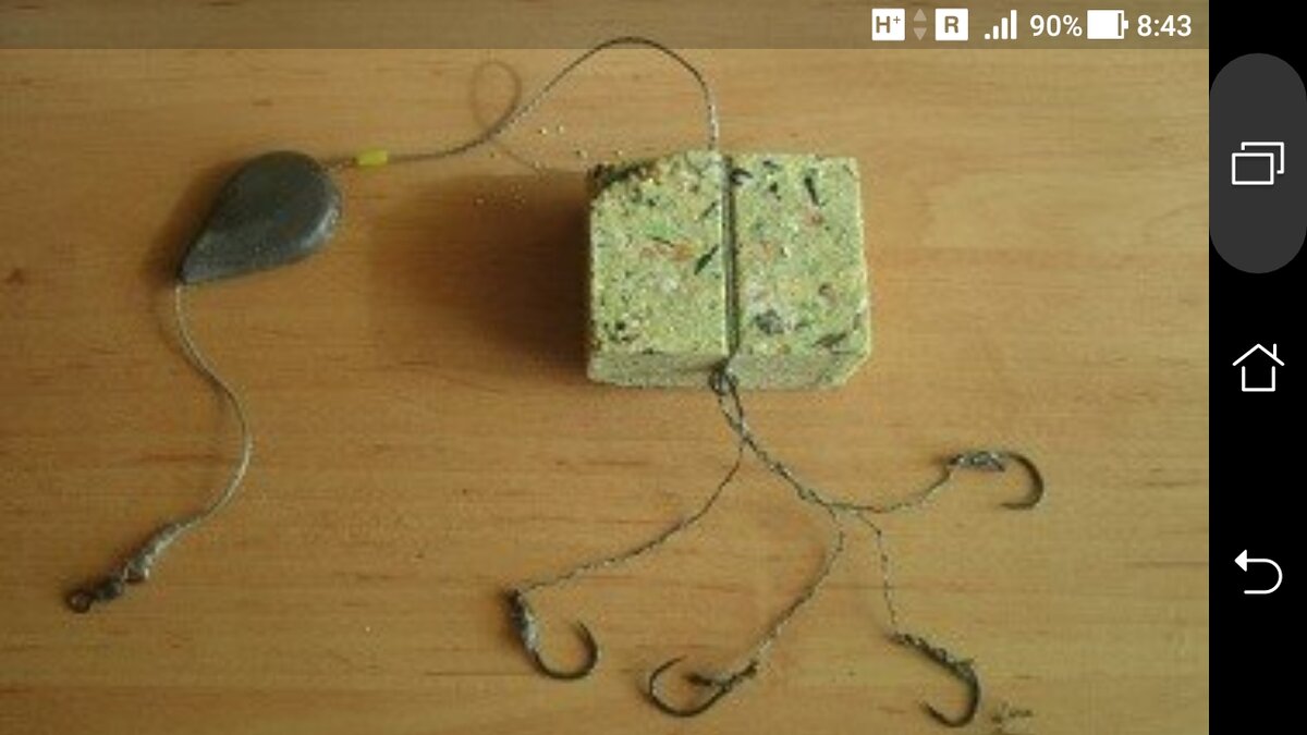 фото макушатник на карася