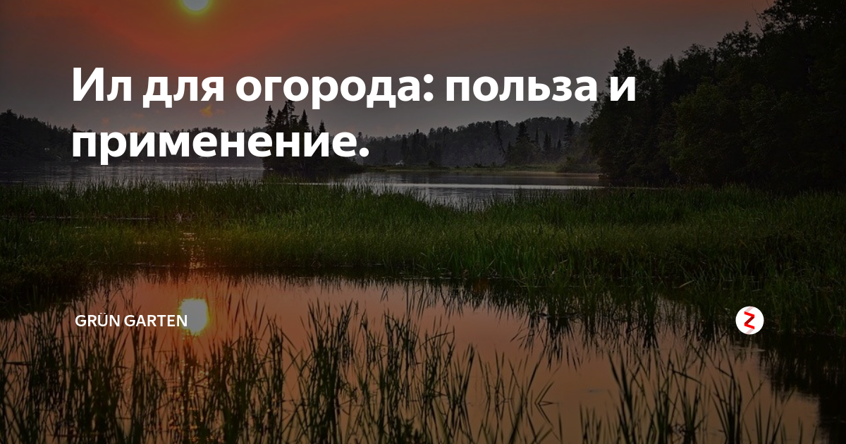 Ил для огорода: польза и применение. | Шпаргалки дачника👨‍🌾👩‍🌾 | Дзен