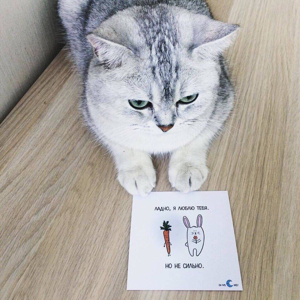 Дзен Petrosyan_NRJ  