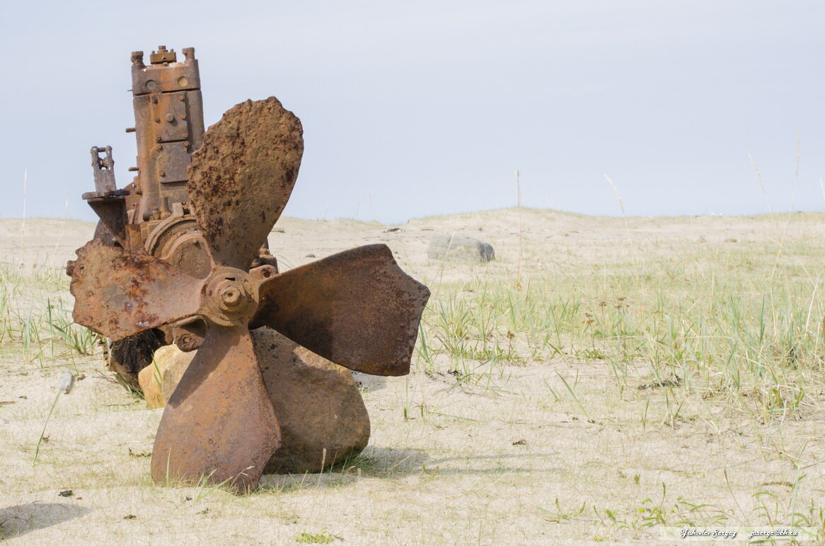 Старый винт на берегу Белого моря