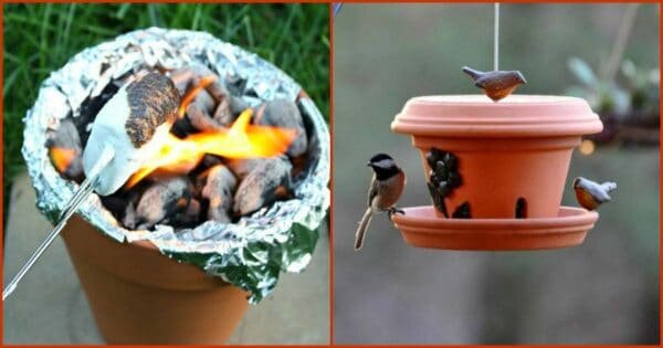 Фото: balconygardenweb