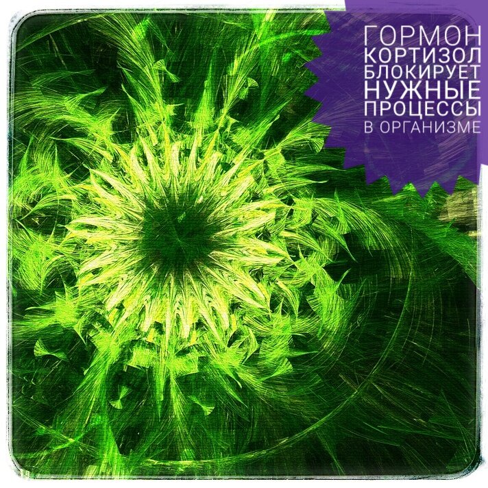 Гормон Кортизол блокирует нужные процессы в организме