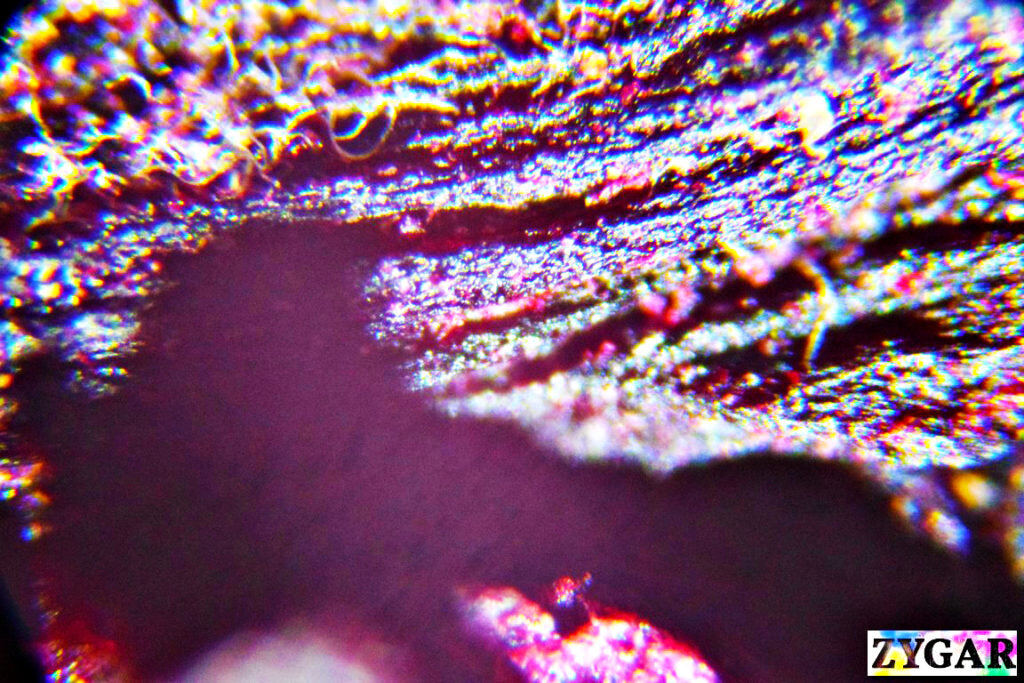  Чай под микроскопом. Tea macro photo    