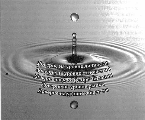 5 Волн Доверия