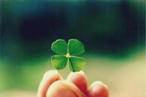                                                              Удача любит смелых!