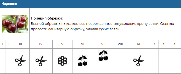 Таблица садовых работ. Календарь обрезки плодовых деревьев. Благоприятные дни для посадки деревьев. Обрезка деревьев в марте 2024 по лунному. Календарь обрезки плодовых деревьев.